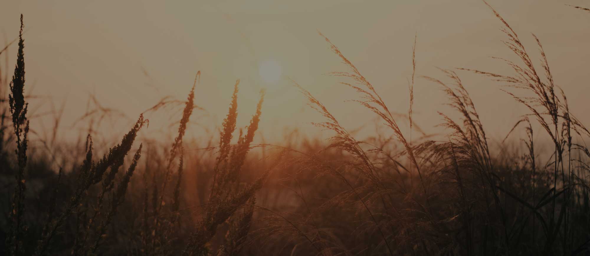 Sunnyvale Christian Counseling